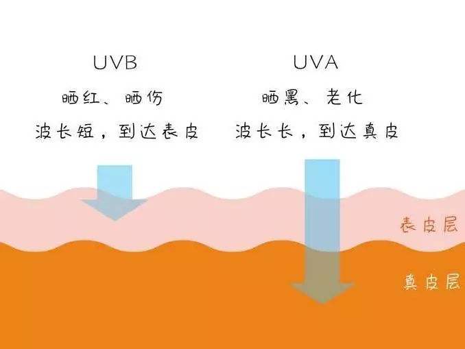 先用肌底隔离乳还是防晒霜,美白肌底液和防晒霜怎么用