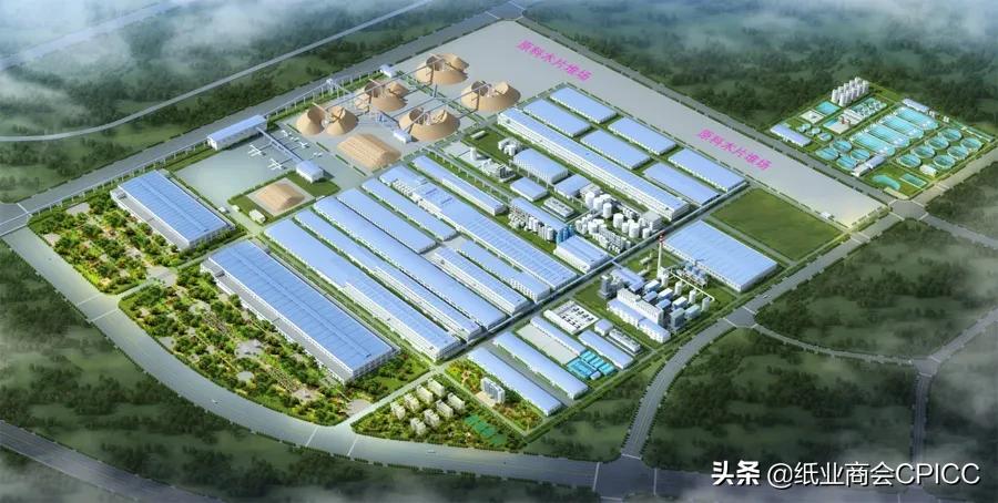 造纸包装行业前景,现代包装造纸产业链发展方案