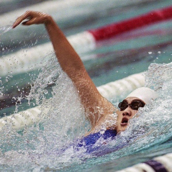 会员作品赏析,会员书法作品欣赏