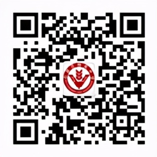 石家庄精英中学诚聘英才