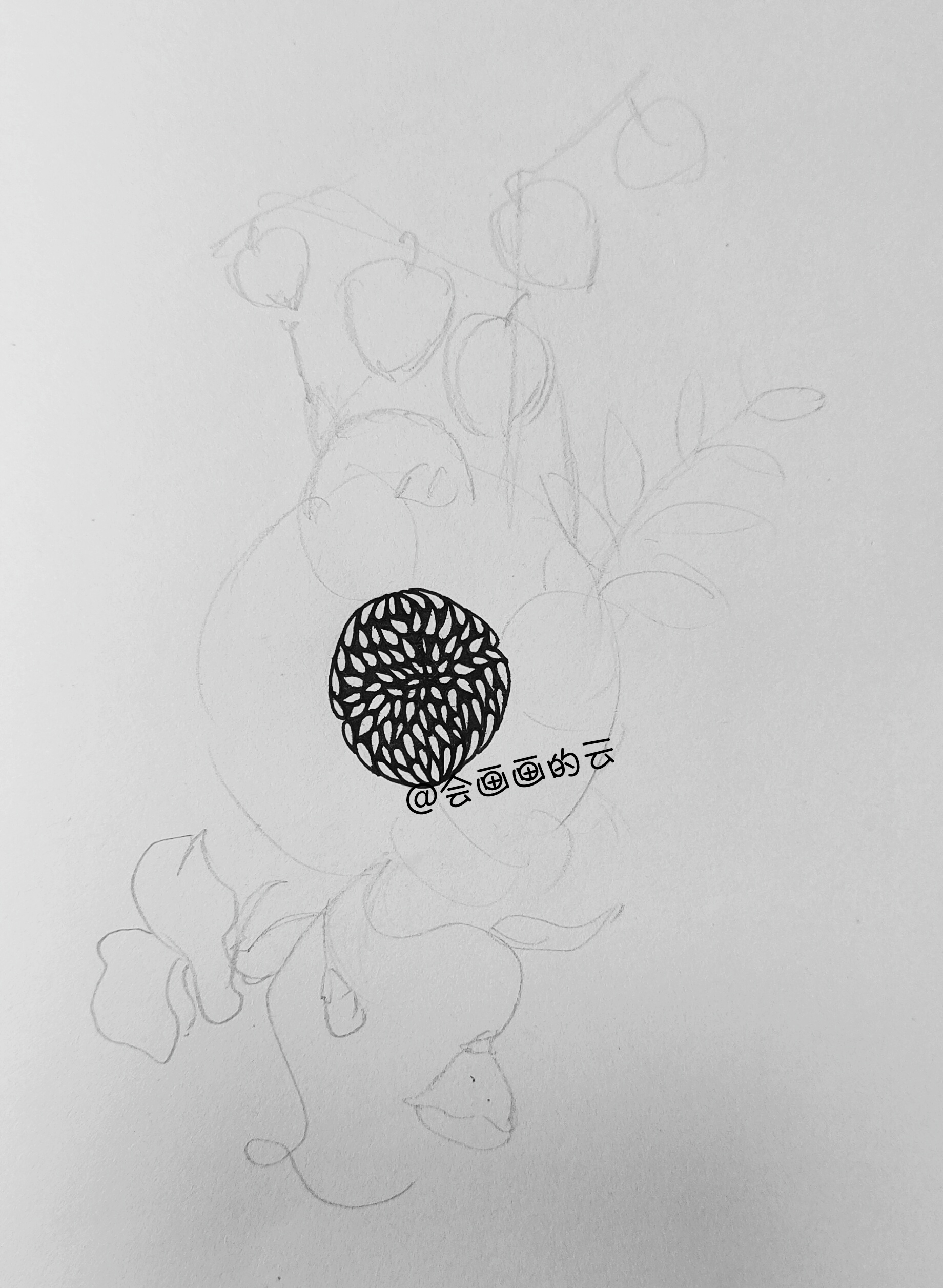 花卉线描简笔画,画花卉教程简笔画