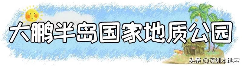 深圳免费的景点有哪些地方,深圳有哪些免费又好玩的地方景点