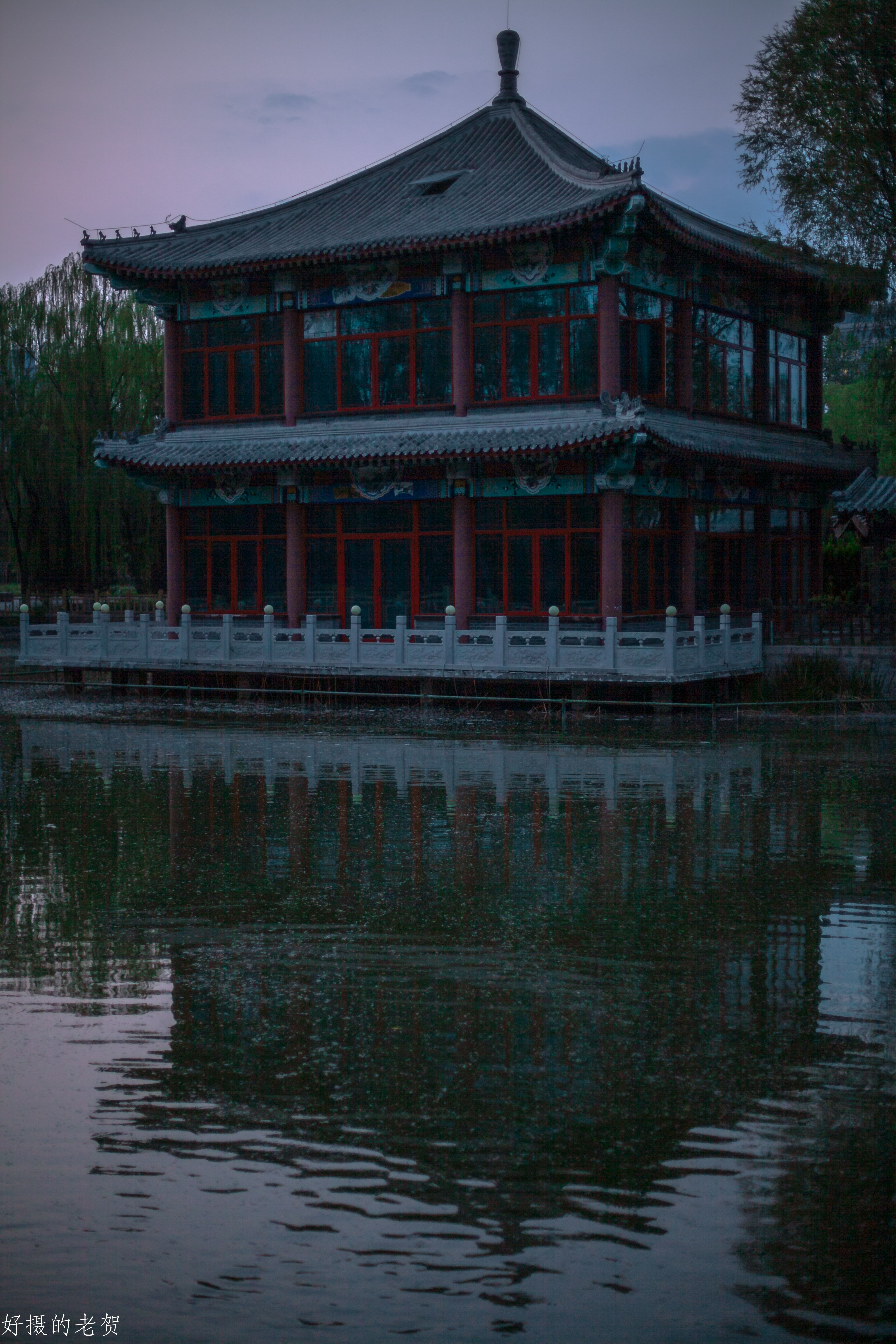 小小街头公园也有春天？疫情期间，它成为唯一舒缓心情的伊甸园