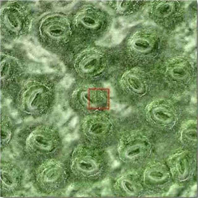 色即是空：这些图片看完后你还有什么想不通？