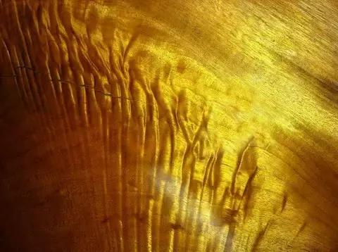 珍藏50年金丝楠现场开料，切出薄如纱的一块，众人瞬间沸腾！