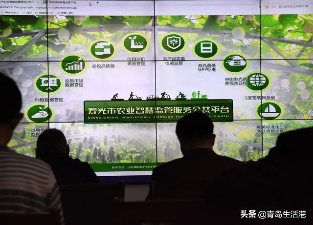 寿光蔬菜是怎么流通到全国各地的,寿光蔬菜都卖到哪些地方