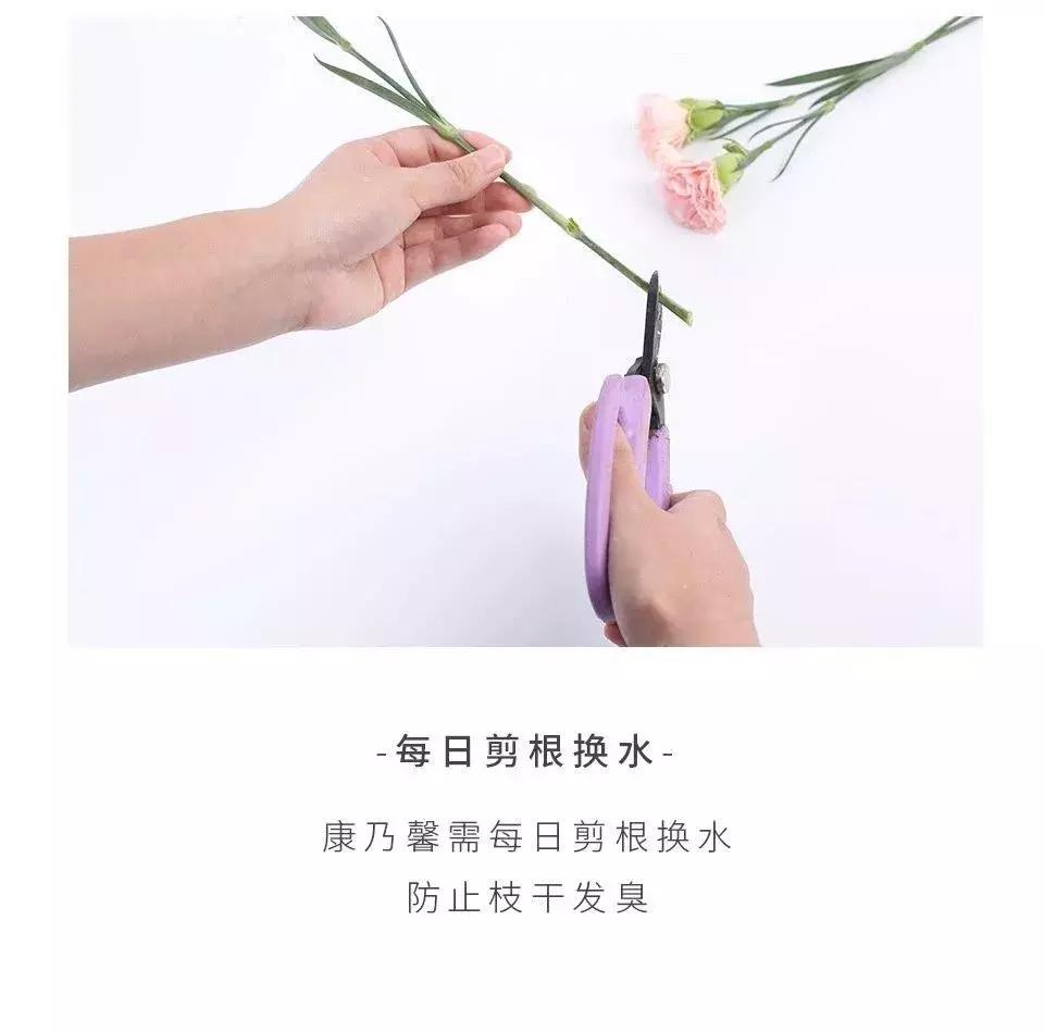 最美母亲节完整版,最美康乃馨母亲节