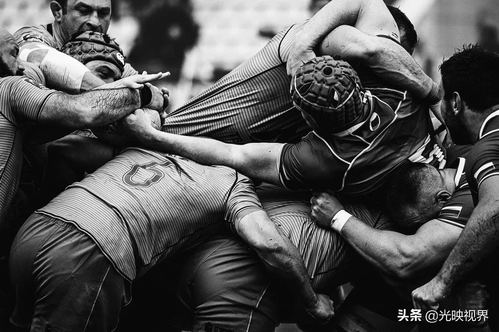 2022年度的ipa摄影大赛获奖作品,2020ippa摄影大赛奖项公布