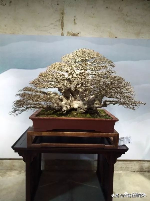 閲戝脊瀛愬湪鐩嗘櫙涓殑鍦颁綅,姒嗘爲鍦ㄧ泦鏅晫鍦颁綅