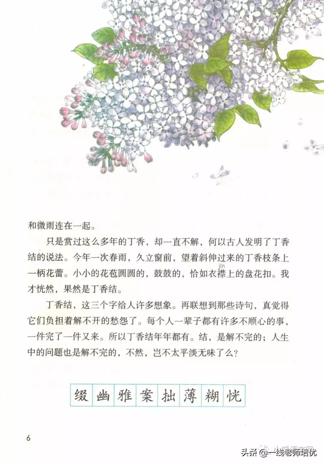 六年级上册第二课丁香结知识点,部编版六年级上册语文丁香结预习
