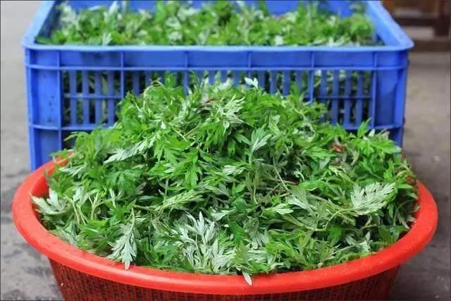 乐平艾米粿,做艾米粿教程