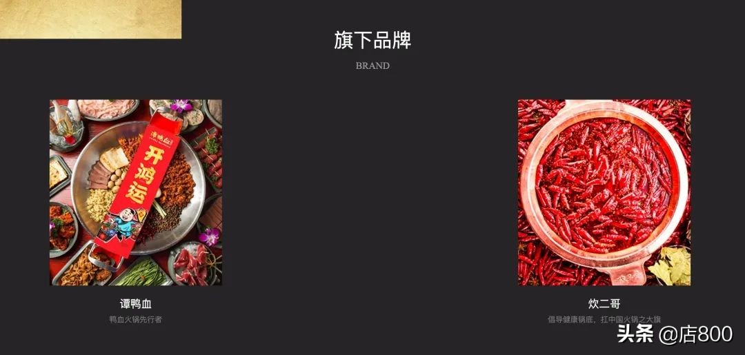 为什么很多人反感加盟餐饮品牌,明星餐饮加盟店多少钱