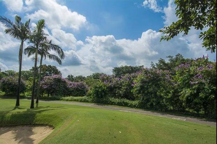 来喽·惠州候鸟印度洋风情别墅~网红泳池+休闲单车、农家特点菜