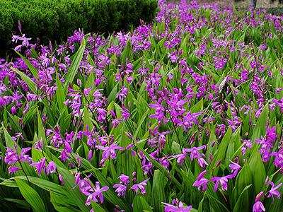 皮肤干燥皲裂,皮肤皲裂怎么快速恢复