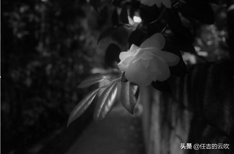 外网测评畅销和满意第一名的理光GRⅢ优势和不足