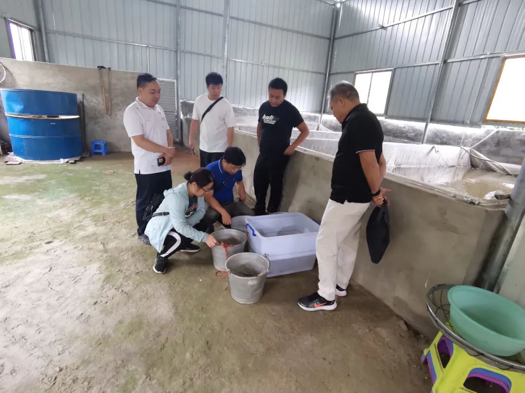 生态渔业创新新模式,广西水产养殖技术推广资讯平台