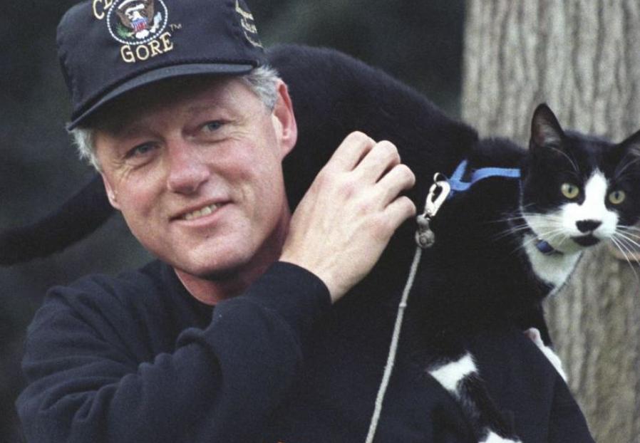 白宫动物简史：鸡、猫、狗、鸟、马、鼠、浣熊，甚至还有鬣狗