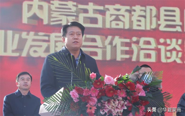 内蒙商都县马铃薯基地,内蒙古马铃薯种植示范基地