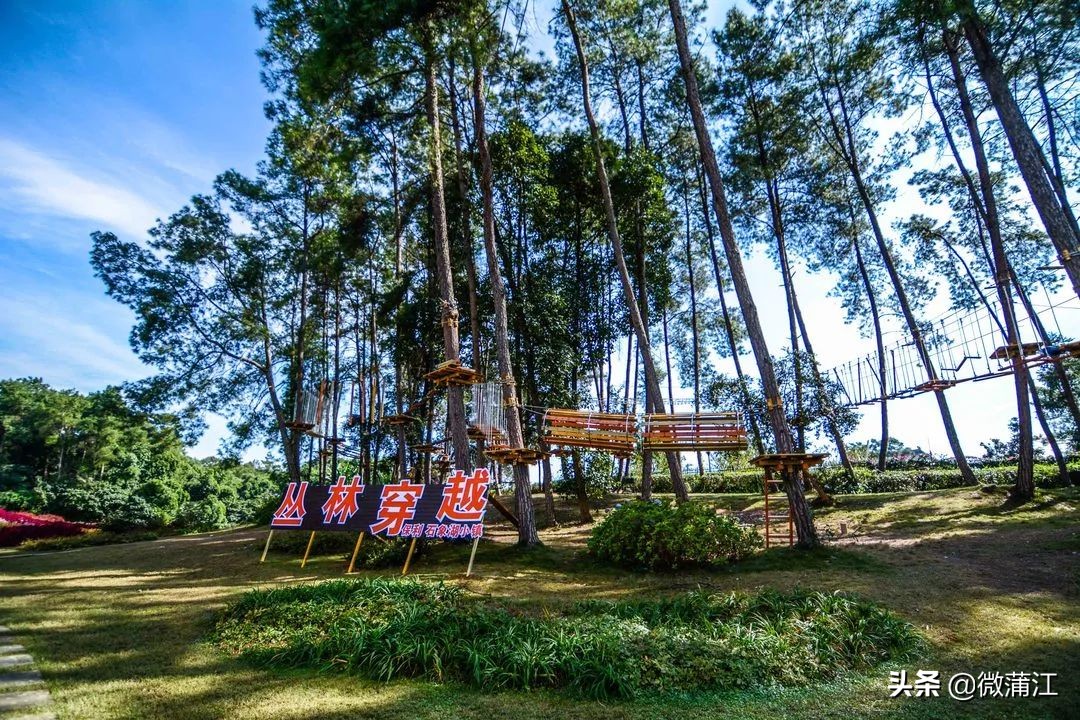 石象湖游览图片大全,石象湖自然风景