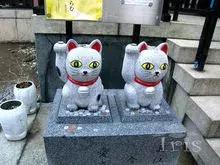 关于招财猫的网名,关于招财猫的知识