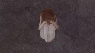 鍔ㄧ敾绔ヨ█鏃犲繉瑙嗛,鍔ㄧ敾鐭墖璁宠█