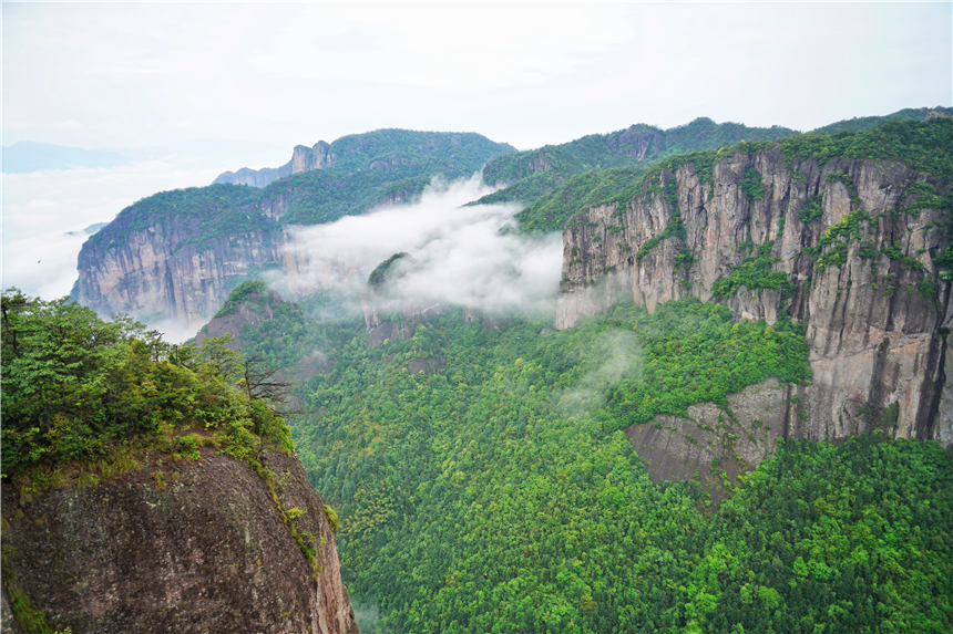 浙江有一个神奇山,浙江山里蝌蚪