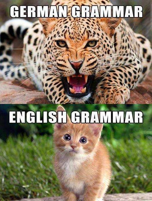 如何快速有效地学习德语,如何6个月内学习任何语言