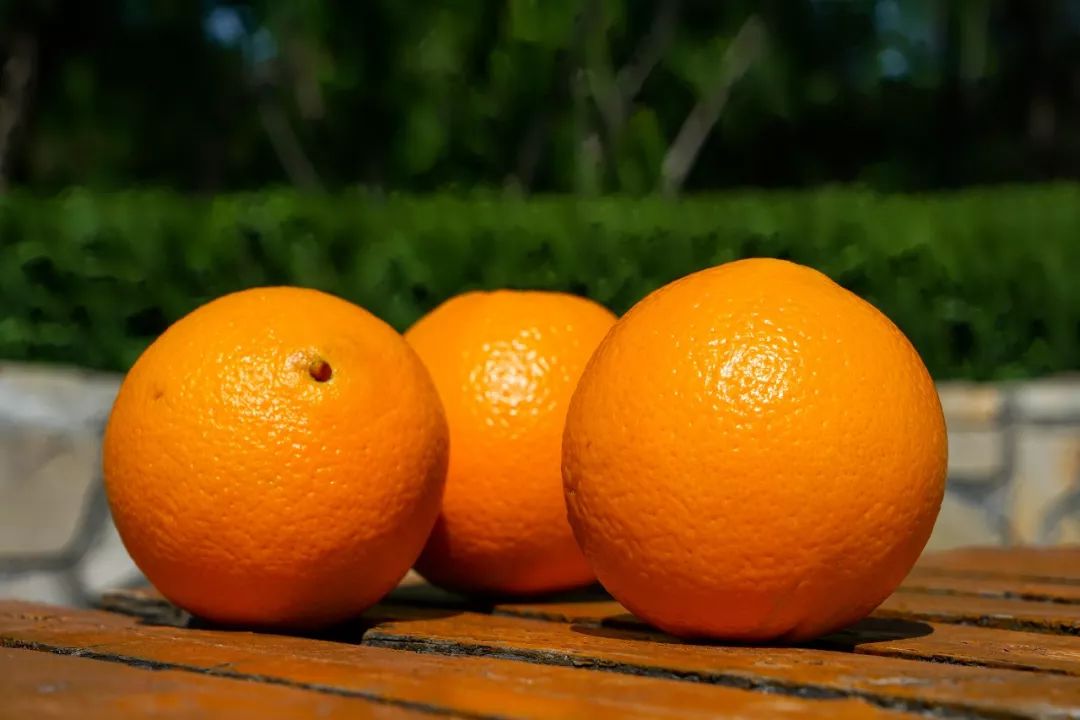 长春生鲜冷链配送,长春蔬果生鲜配送新鲜直达