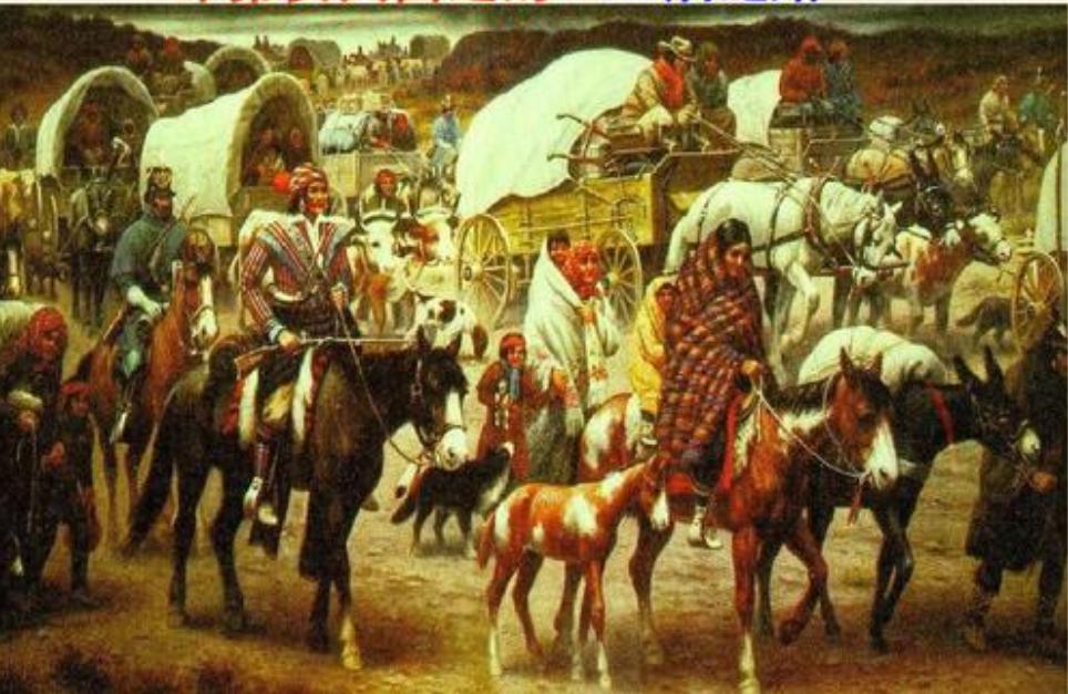 感恩节与印第安人的血泪史,感恩节印第安人的血泪史是真的吗