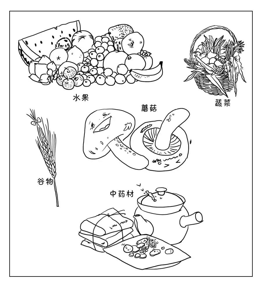 一月酒，二月醋，三月竟成酵素？