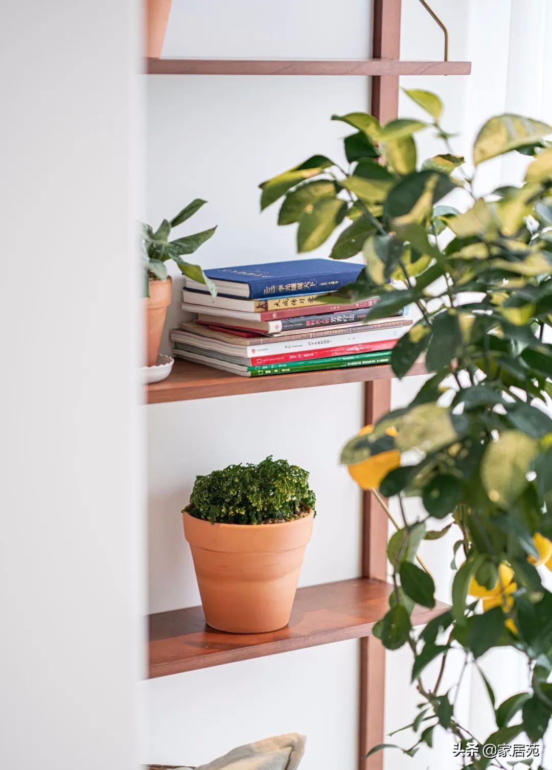 111㎡暗房惊艳翻身，简洁又耐看，还有超强储物力！