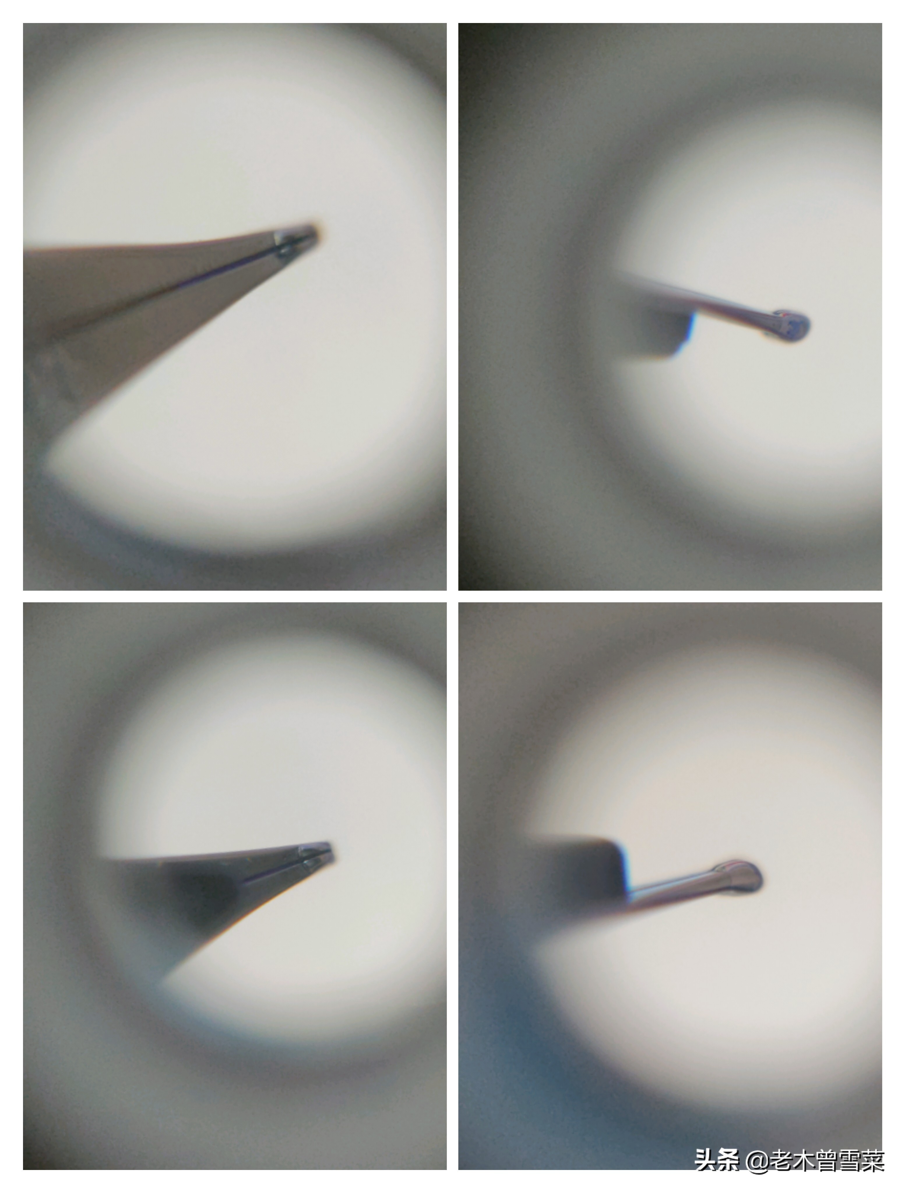 鐧介噾楂樼閽㈢瑪,鐧介噾閽㈢瑪椤剁骇閲戠瑪