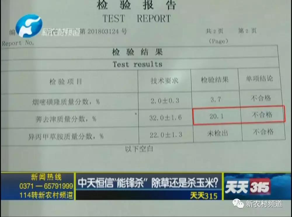 玉米除草剂药害玉米减产吗,玉米受药害减产吗