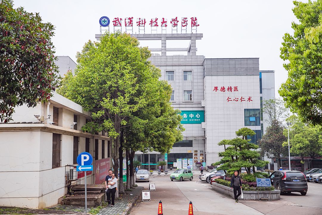 武科大算什么档次,武科大属于什么水平