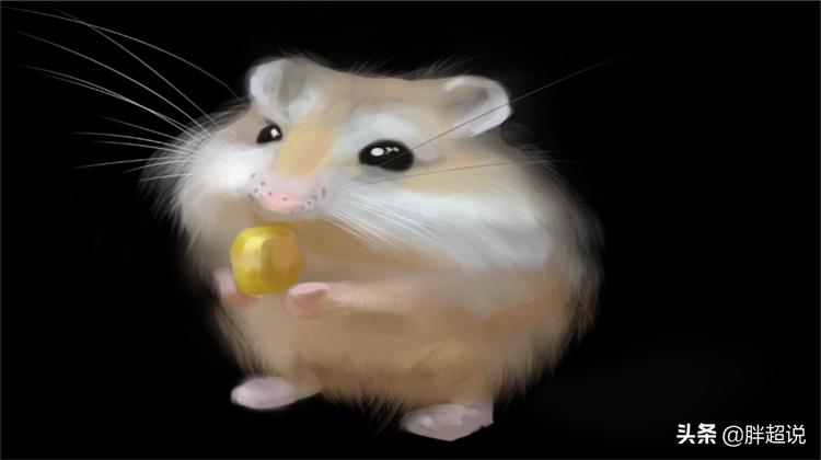 仓鼠的饲养技巧和注意事项有哪些,仓鼠饲养八大禁忌仓鼠会认主人吗