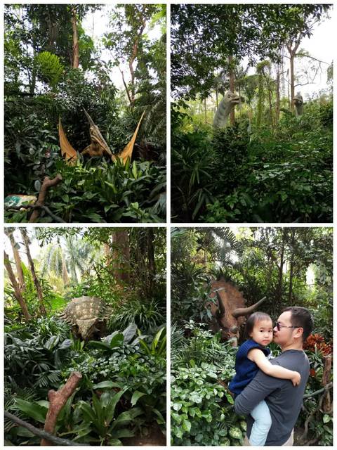 带娃逛动物园亲近大自然的一天,带娃去广州长隆野生动物园攻略