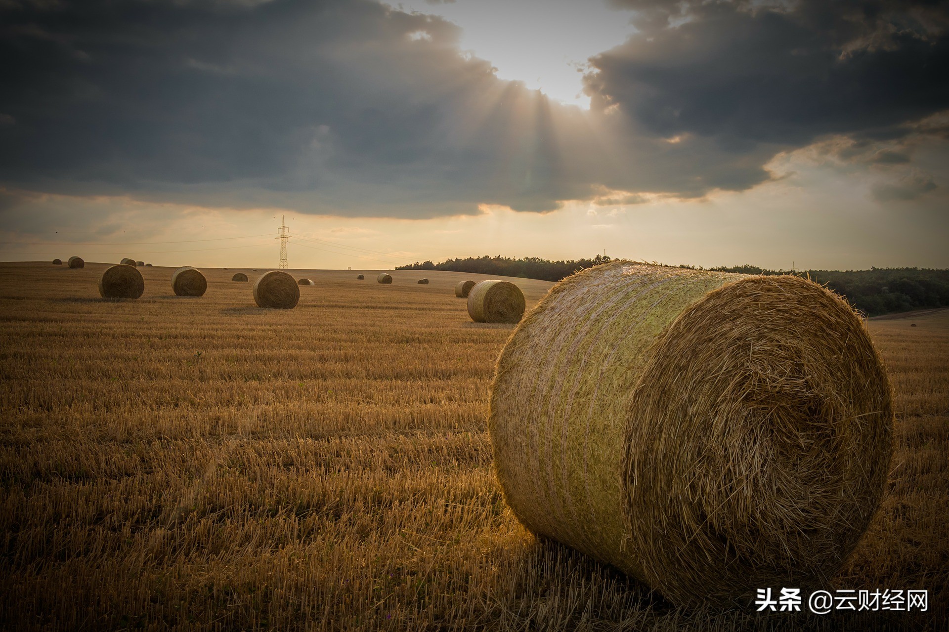 如何用量化获取股票数据,股票量化系统自己怎么做