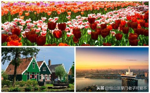 不能错过的狂欢节,不能错过2022年的春天万物复苏