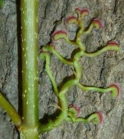 四年级部编版语文上册第三课笔记,部编版四年级上册语文第三课练习