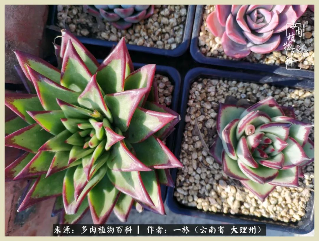 星光不问赶路人文案,时光不负有心人星光不负赶路人