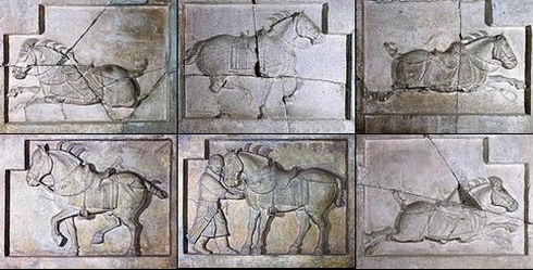 中国每年吃多少马肉,全球每年宰杀近470万匹马马肉