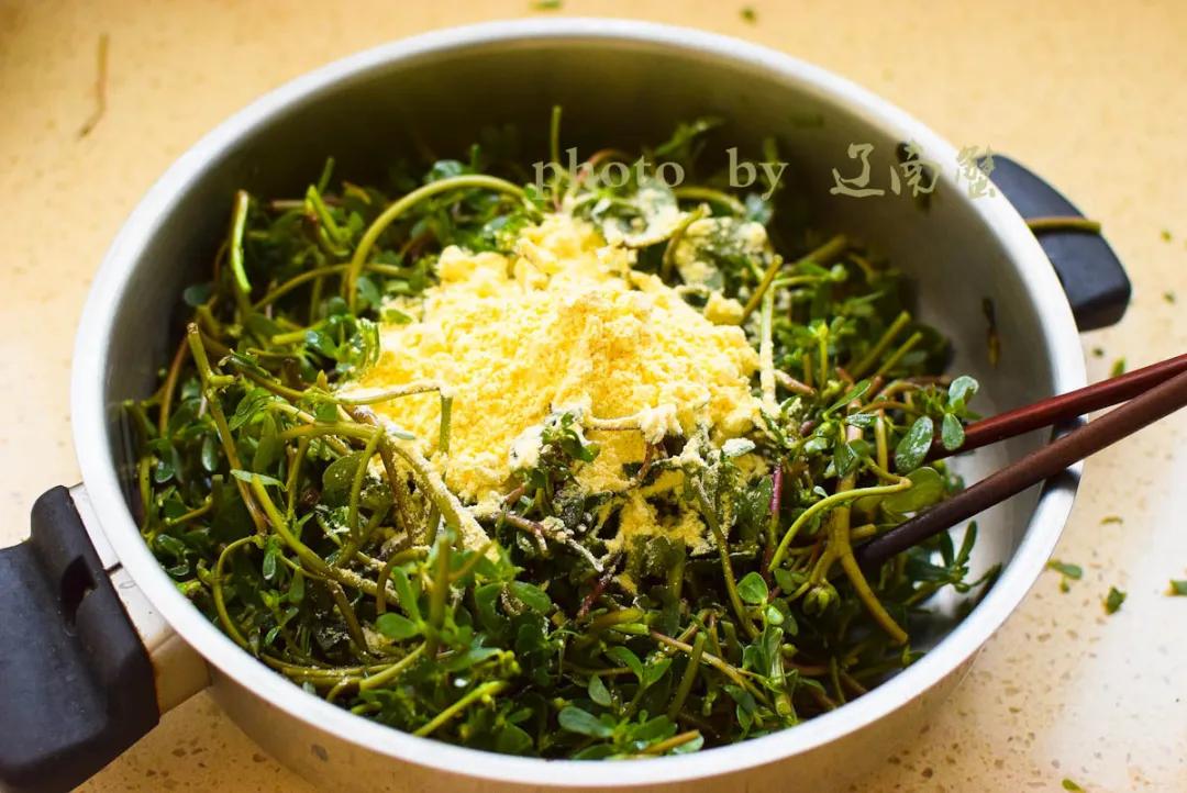 马齿苋是长寿菜你知道吗,马齿苋夏天