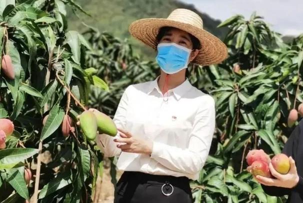 芒果荔枝背后的中越双边关系，曾经“国民待遇”，如今寂无声息