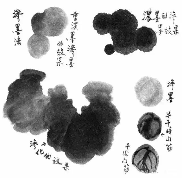 写意花鸟配景石的画法,干货写意花鸟类的画法