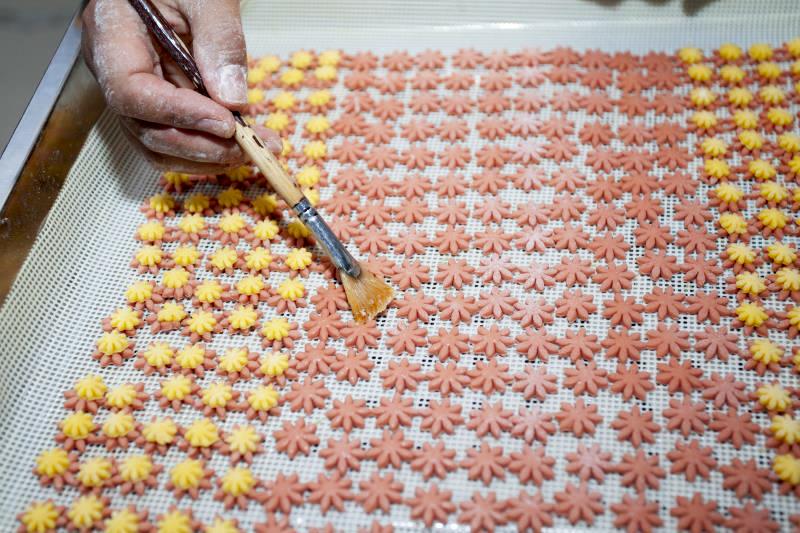 行走在乡村的感悟,行走在乡间感悟