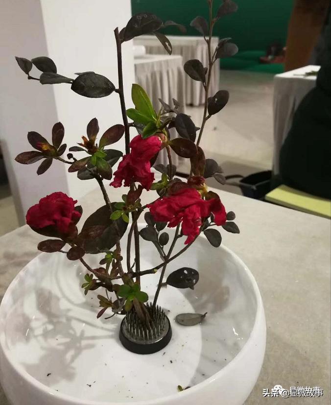 三线城市买*口车进**厘子、花数万元装修鱼缸，这里没有“下沉市场”