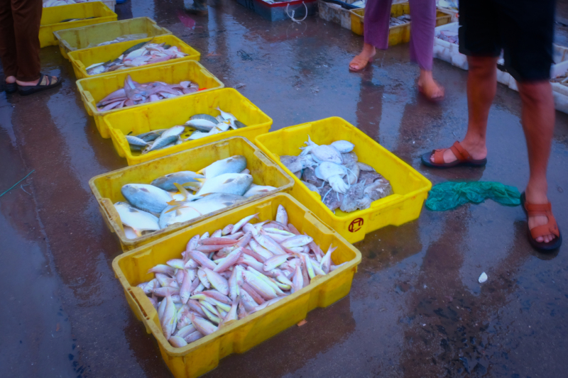 广东湛江景点及美食攻略,广东游记湛江市最美味的海鲜