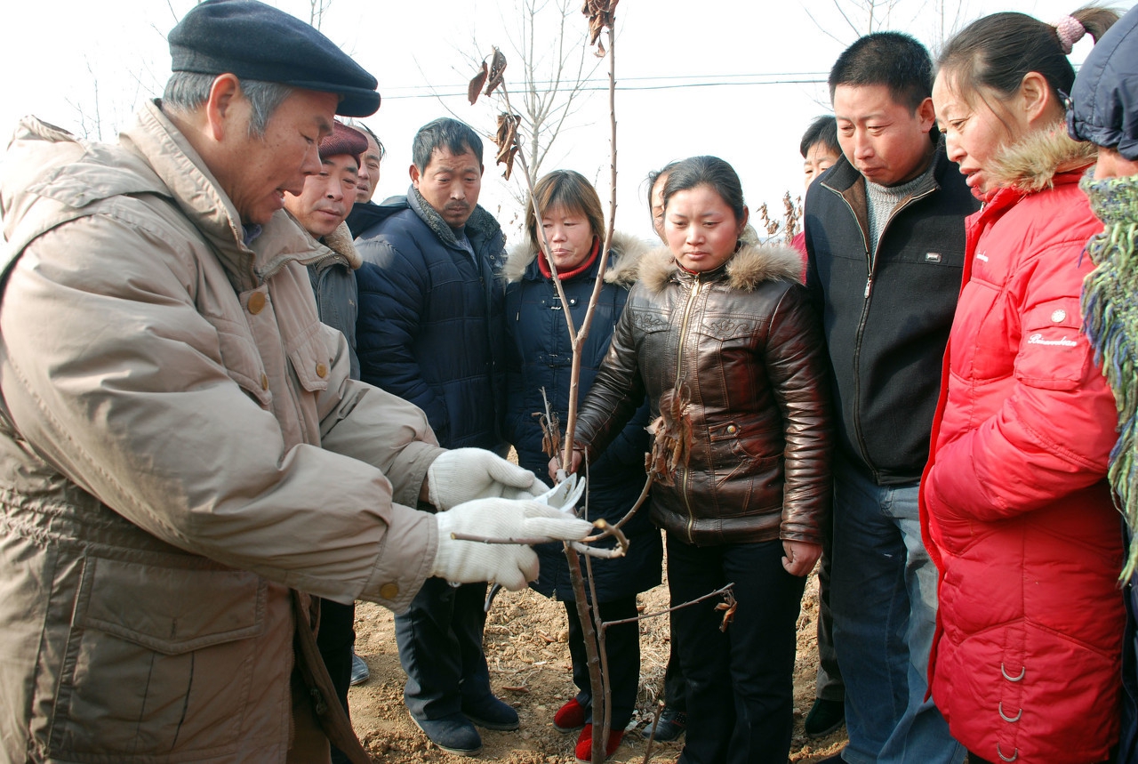 乡村振兴果蔬种植商业计划书,现代农业种植产业可行性报告