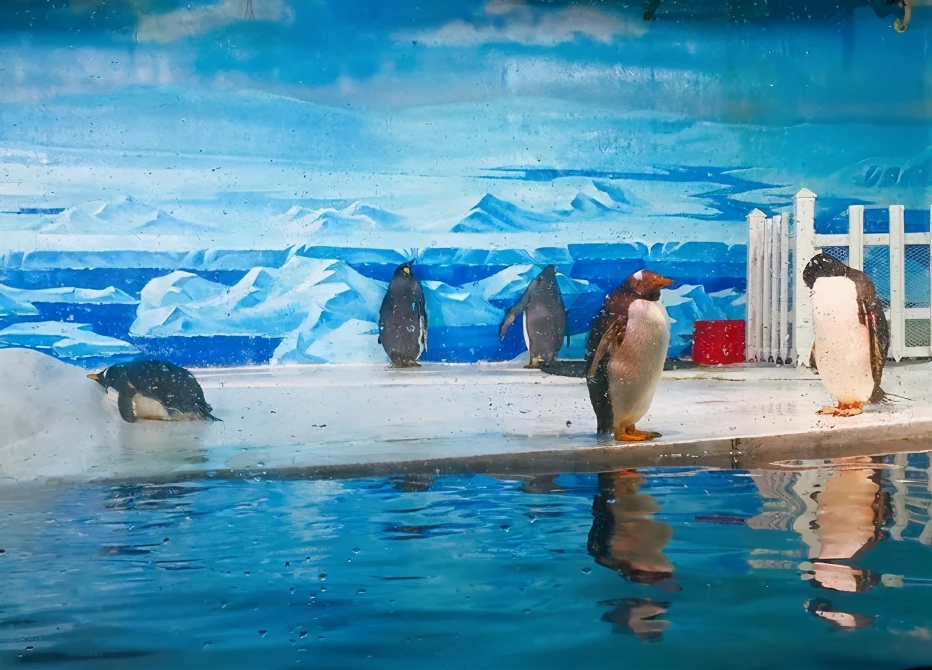 大连金石滩冬天一路美景,漫步在大连金石滩的黄金海岸