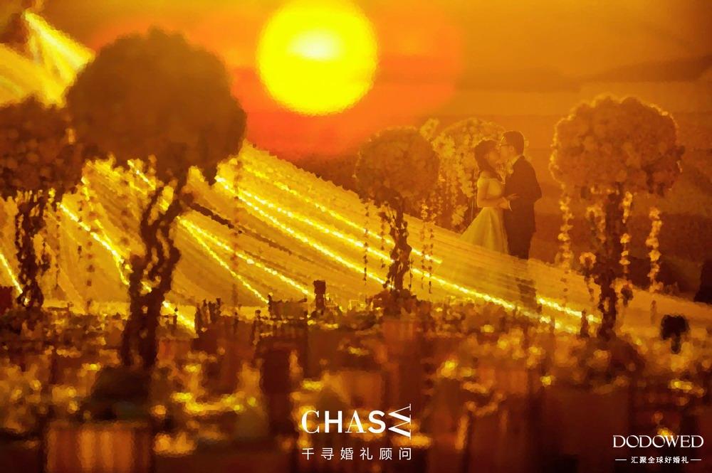 dodowed婚礼官网,dodowed婚礼案例